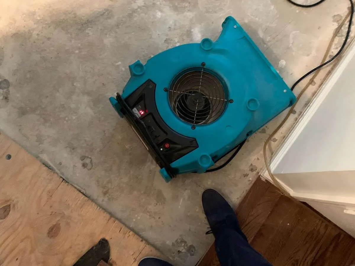 Air mover drying subfloor during Leak Detection & Repair in Branford